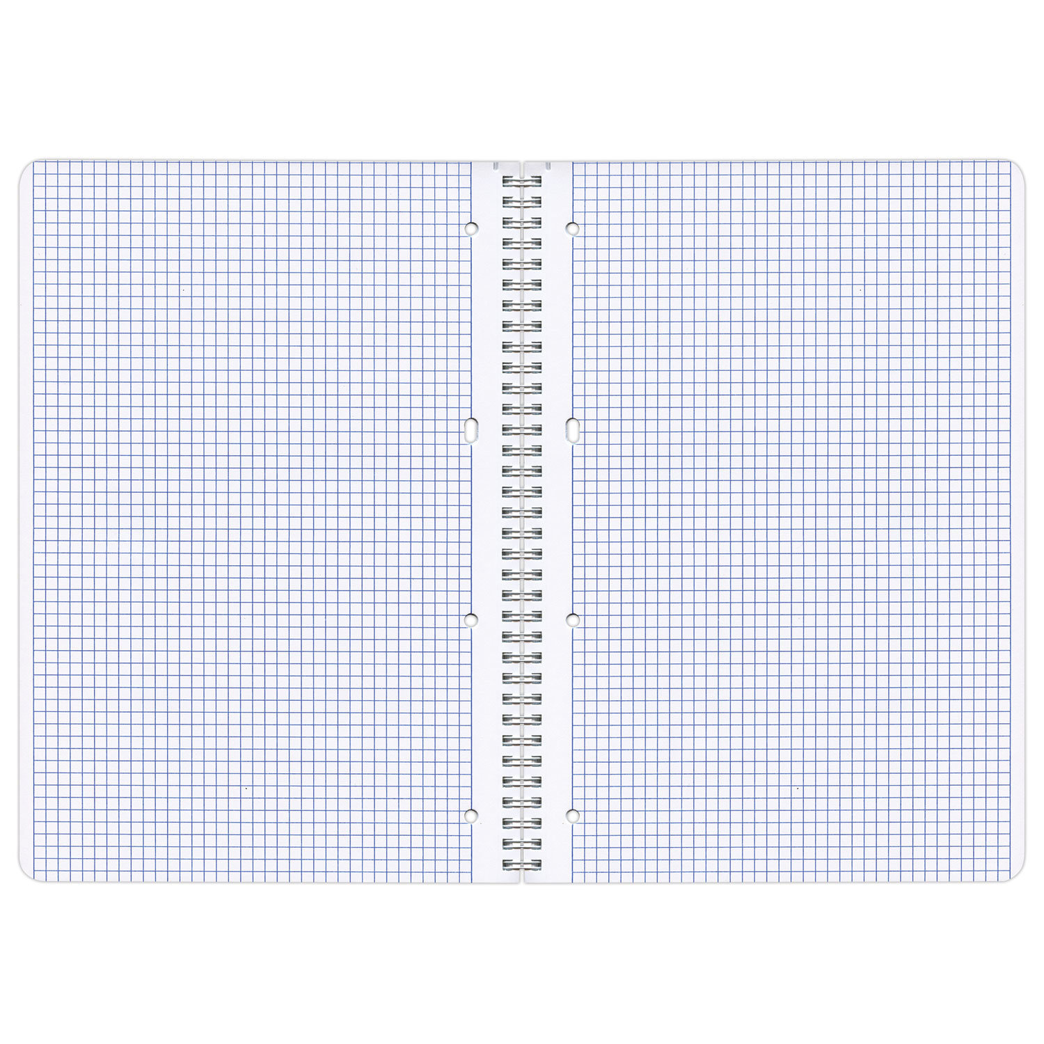 Тетрадь BRAUBERG 400528 ИНДЕЙ А4 96 листов клетка