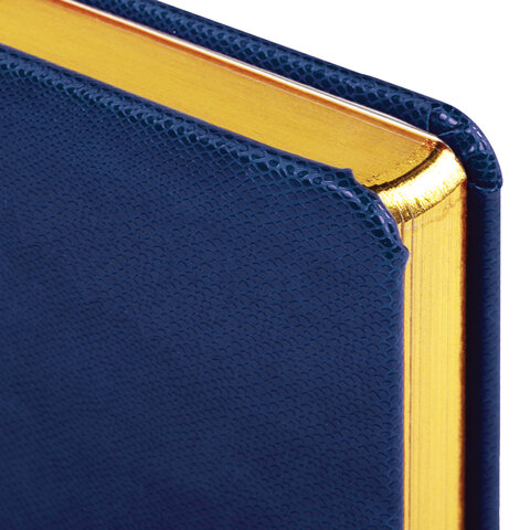 Ежедневник недатированный А5 138x213 мм, 160л. BRAUBERG "Iguana", под кожу