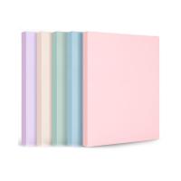 Папка на 80 карманов "Deli Pastel" пласт., ассорти