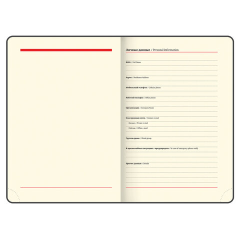 Ежедневник недатированный А5 138x213 мм, 160л. BRAUBERG "Iguana", под кожу