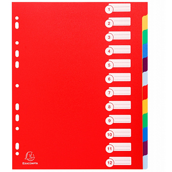 Разделитель для документов EXACOMPTA А4 на 12 делений цветной