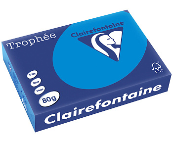 Бумага цветная CLAIREFONTAINE Trophée A4 интенсив 80 г/м2 500 листов