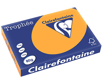Бумага цветная Clairefontaine Trophée A4 интенсив 80 г/м2 100 листов