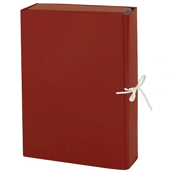 Папка на завязках (2 зав.) архивная для бумаг бумвинил 85 мм до 700 л