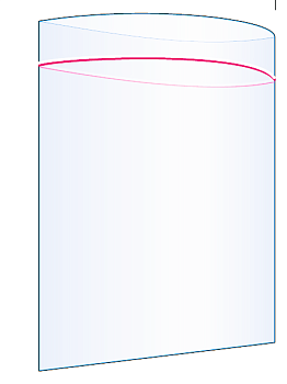 Пакет Zip-Lock 100 шт в упаковке